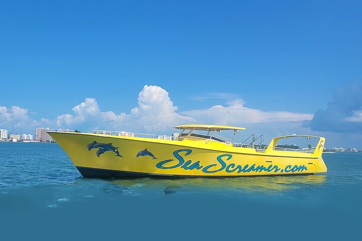 Sea Screamer L'unico motoscafo di Clearwater per l'osservazione dei delfini