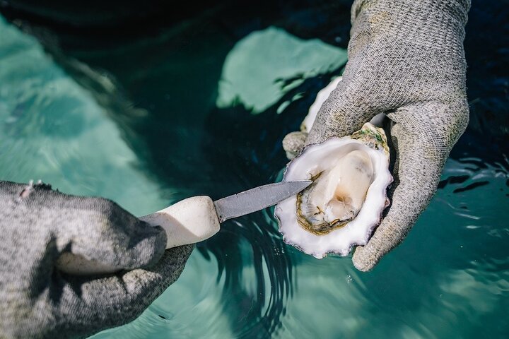 Experiência Coffin Bay Short and Sweet Oyster Farm Tour