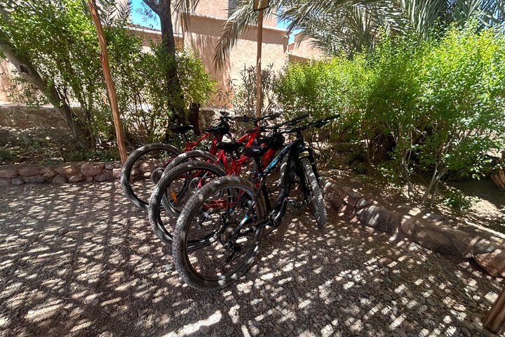 Privater halbtägiger Mountainbike-Ausflug zur Entdeckung der Skoura Palmeraie