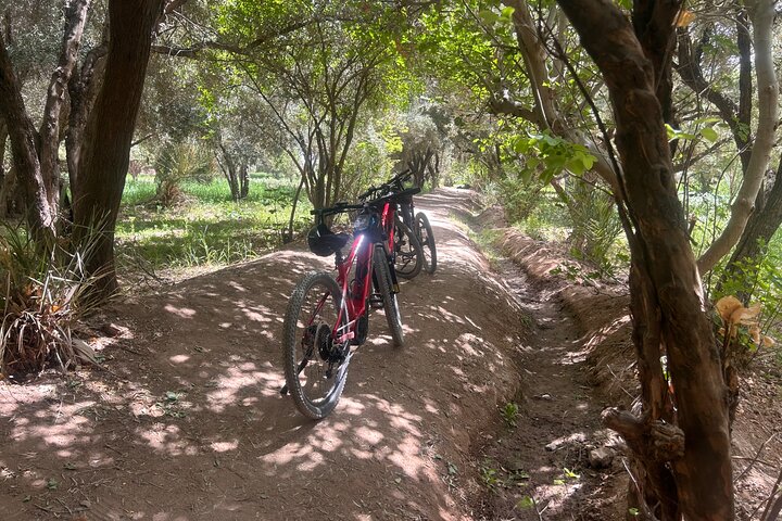 Privater halbtägiger Mountainbike-Ausflug zur Entdeckung der Skoura Palmeraie