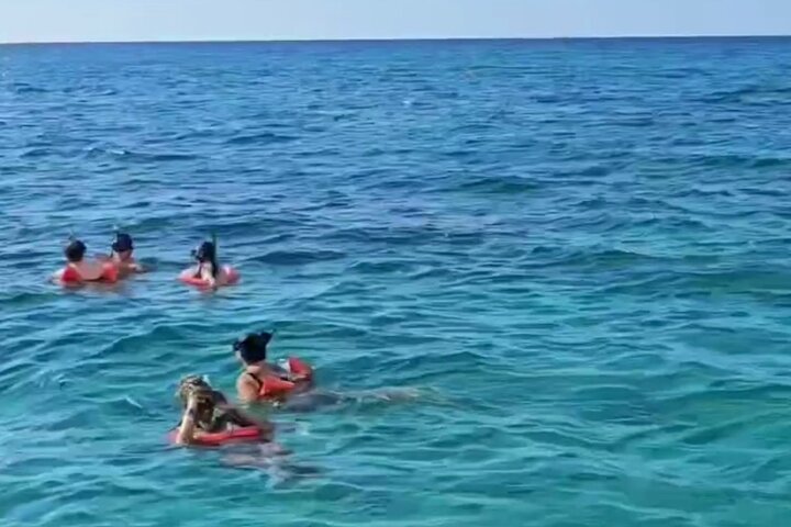 Negril : MAÑANA Catamarán Crucero Cuevas Natación Esnórquel en Arrecifes