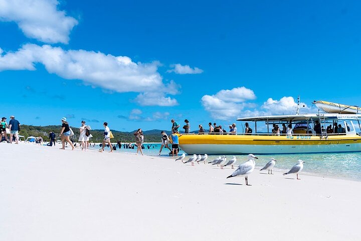 Crucero de un día por Whitsundays : Whitehaven Beach & Hill Inlet
