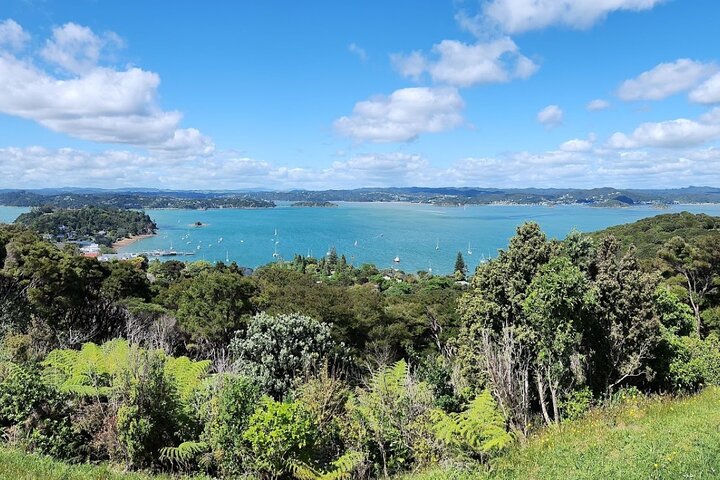 Schilderachtige tour door de Bay of Islands