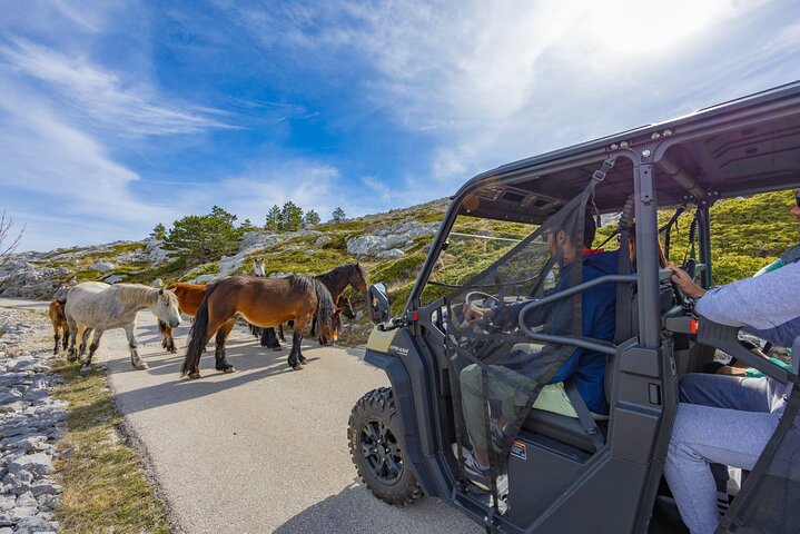 Makarska: Baggy Skywalk & Biokovo Aussichtspunkt Tour