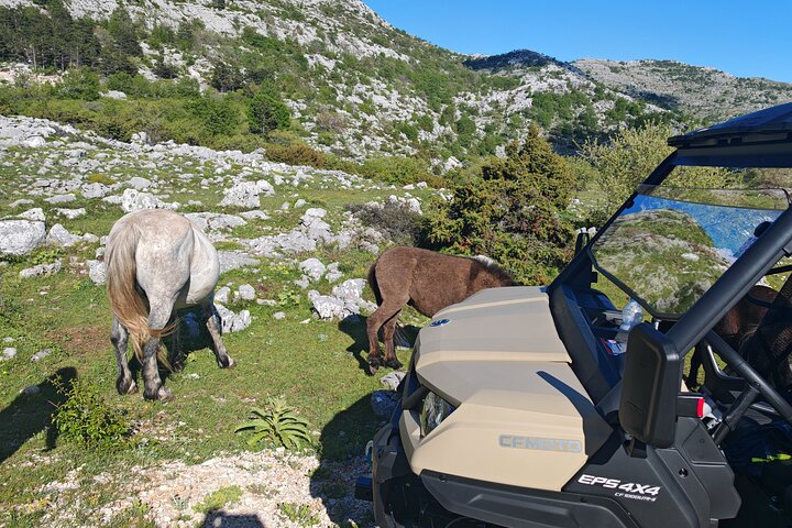 Makarska: Baggy Skywalk & Biokovo Aussichtspunkt Tour