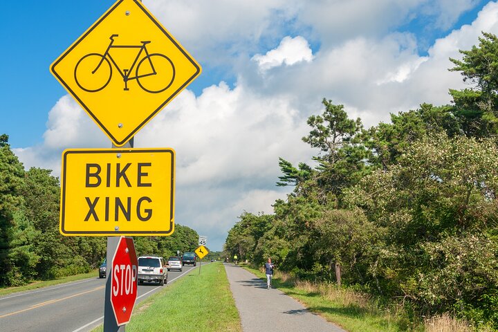 Tour guidato in auto o in bicicletta da costa a costa di Nantucket