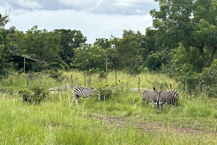 Shai Hills Safari - Hike & See Animals