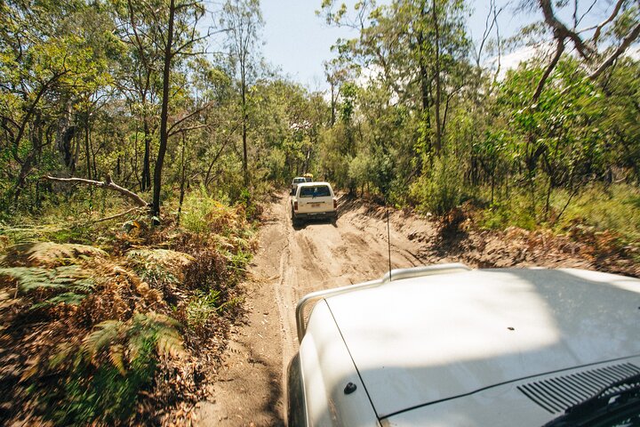Dingos 3 jours K'Gari (Fraser Island) Tour en 4x4 en accompagnement