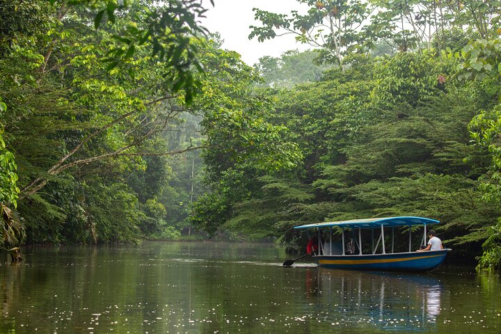 Avventura di 4 giorni all-inclusive in Amazzonia: esplora la foresta pluviale di Napo