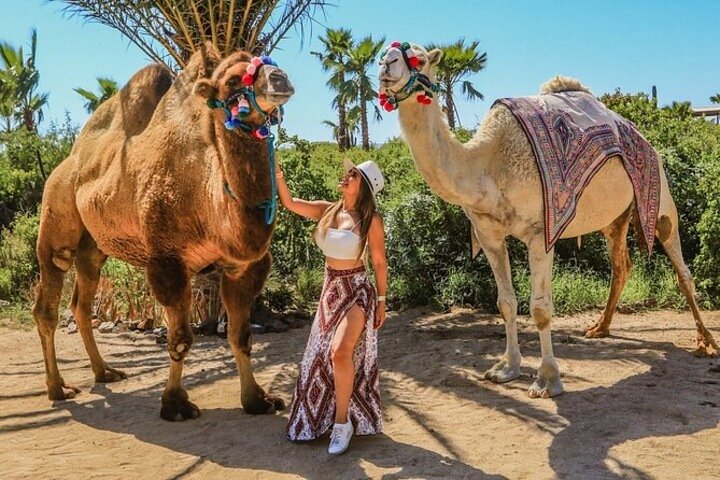 Kamelensafari, UTV-avontuur en tequilaproeverij in Cabo