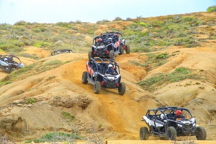 Kamelensafari, UTV-avontuur en tequilaproeverij in Cabo