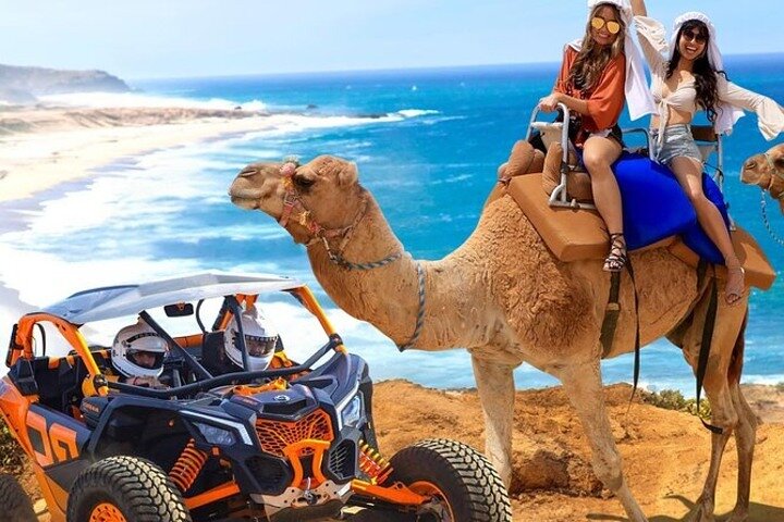 Kamelensafari, UTV-avontuur en tequilaproeverij in Cabo