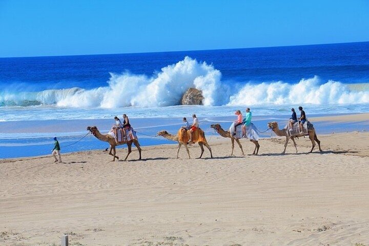 Kamelensafari, UTV-avontuur en tequilaproeverij in Cabo