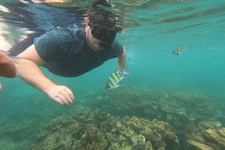 Phi Phi Khai Islands udflugt med havudsigt og frokost med speedbåd