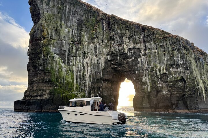 Exclusive 1,5 Hour Drangarnir Boat Tour