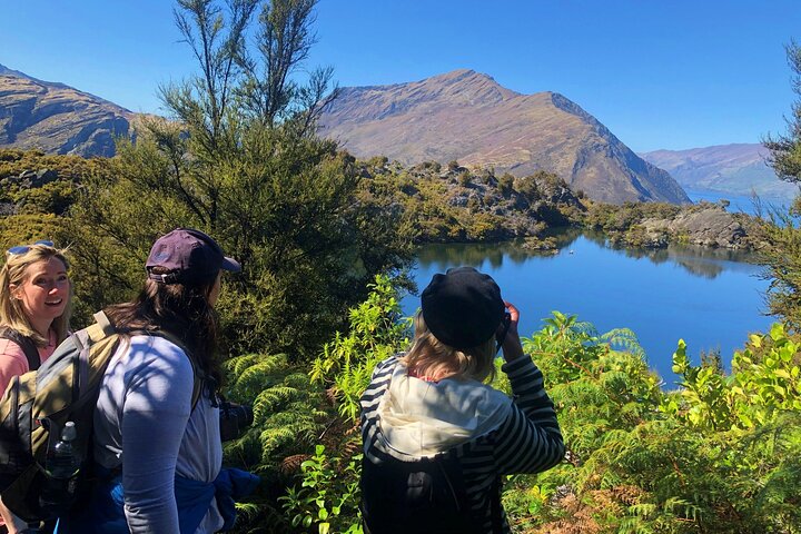 Croisière sur l'île Mou Waho et promenade dans la nature autoguidée