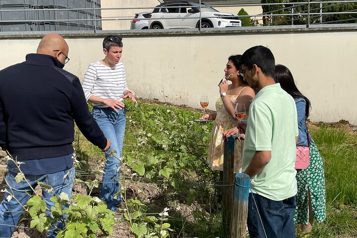 Champagne Muñoz Bruneau: visita y degustación de medio día