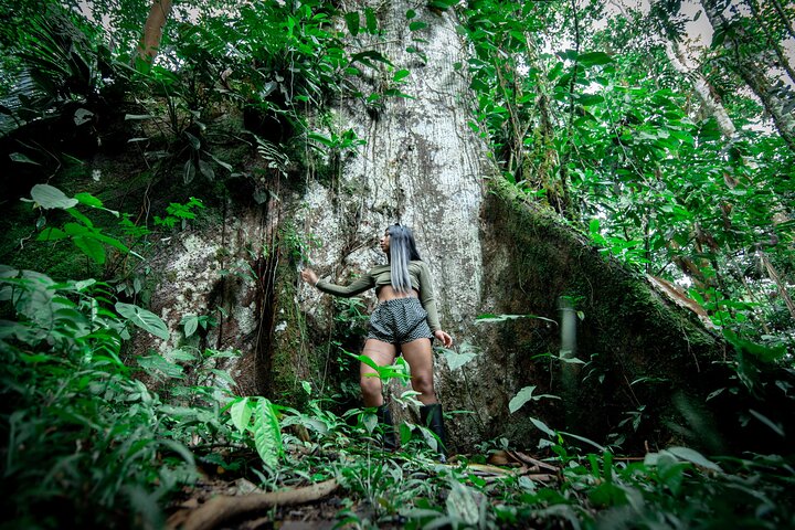 Avventura di 4 giorni all-inclusive in Amazzonia: esplora la foresta pluviale di Napo