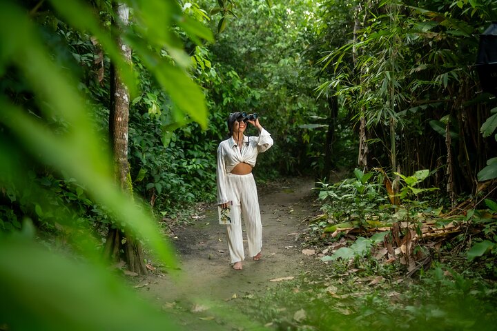 Avventura di 4 giorni all-inclusive in Amazzonia: esplora la foresta pluviale di Napo
