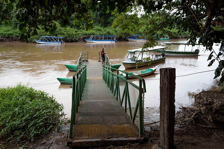 Safari en bateau à Palo Verde
