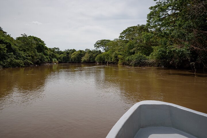 Safari en bateau à Palo Verde