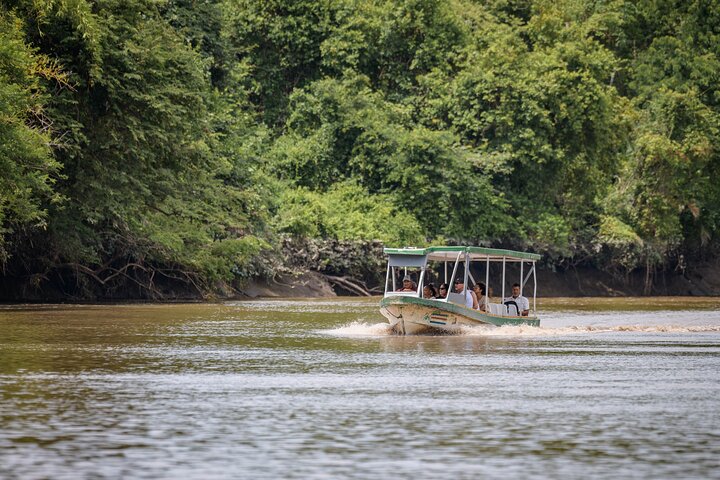 Safari en bateau à Palo Verde