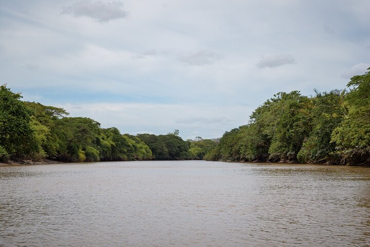 Safari en bateau à Palo Verde