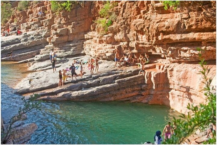 Paradise Valley tur & Geder på Argan træer pakke fra Agadir