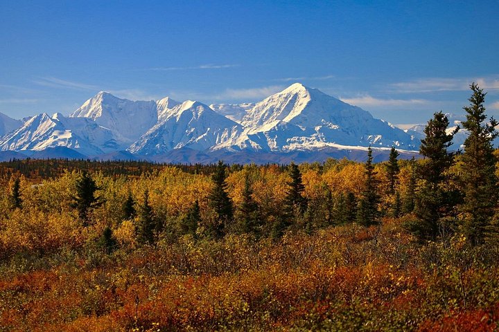 Gemeinsamer Eintritt zum Denali-Nationalpark und Transport nach Fairbanks