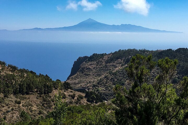 テネリフェ島発ラ・ゴメラ島への日帰り旅行(昼食とフェリー付き)