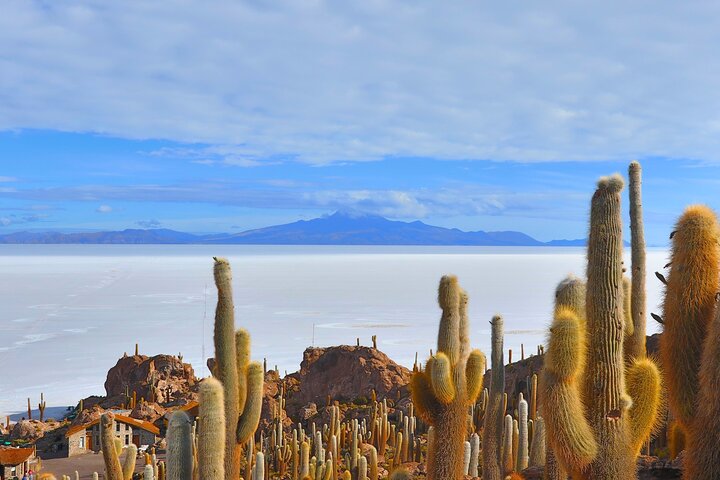 Uyuni Salt 1 daagse tour met gids in het Engels + lunch en zonsondergang