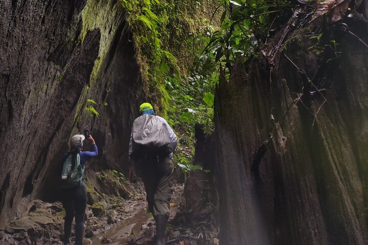 Avventura di 4 giorni all-inclusive in Amazzonia: esplora la foresta pluviale di Napo