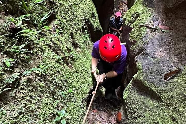 Avventura di 4 giorni all-inclusive in Amazzonia: esplora la foresta pluviale di Napo