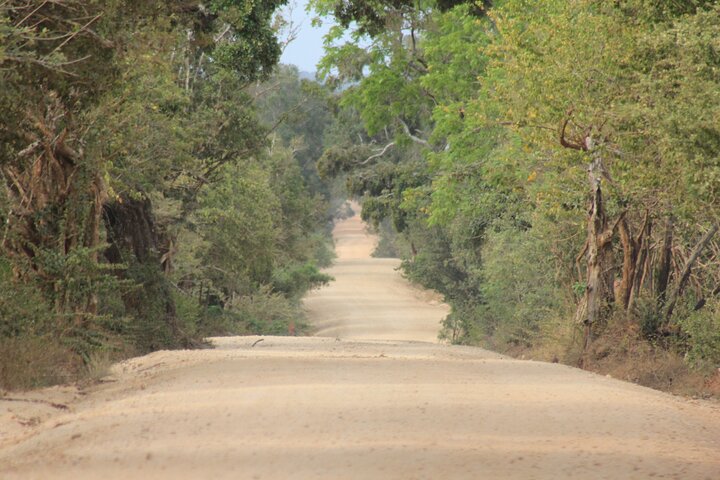 Vanuit Ella: Shuttle naar Tangalle/Mirissa/Galle met Yala Safari Tour