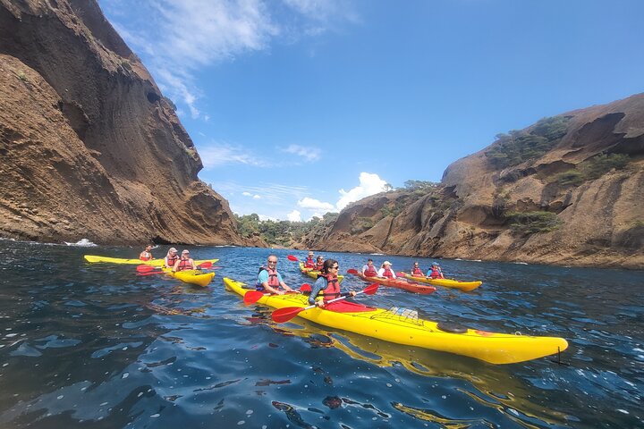 Tour in kayak al Parco Nazionale di Calanques (La Ciotat)