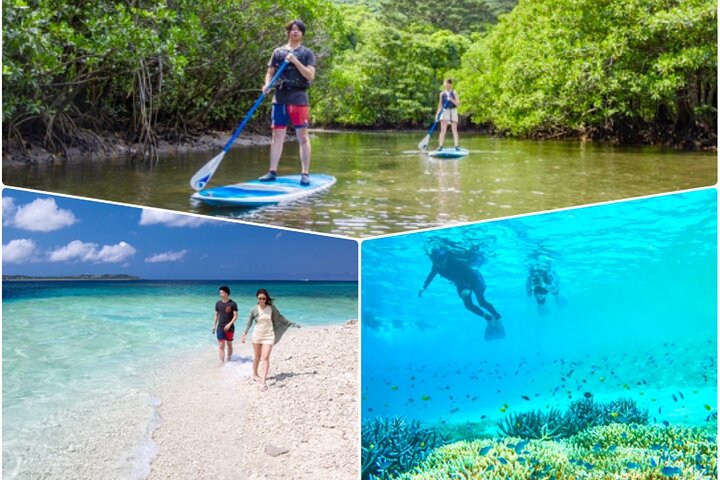 Okinawa Iriomote Island 1 Tag Welterbe „Meer x Fluss“ 2 große klassische Kurse (Baras Island Schnorcheln & Mangroven-SUP oder Kanu)