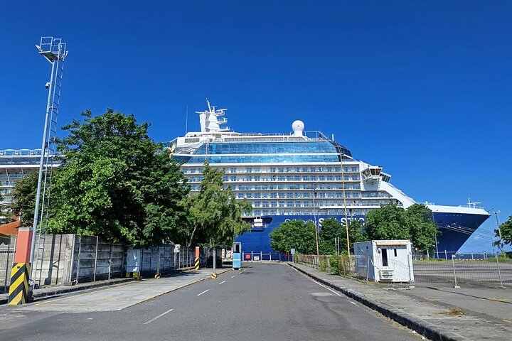 Bali Shore Utflykt från Benoa Port – All-Inclusive privat tur