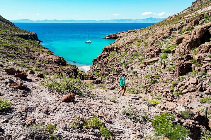 Aventura a Isla Espíritu Santo: Snorkel con Lobos Marinos y Playa
