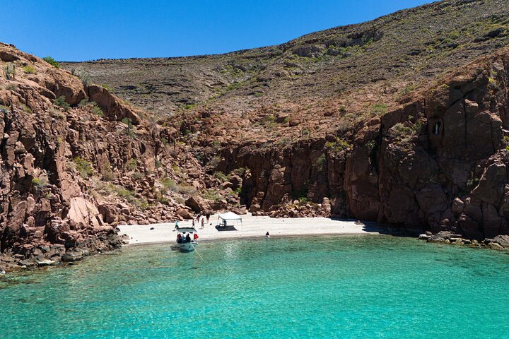 Aventura a Isla Espíritu Santo: Snorkel con Lobos Marinos y Playa