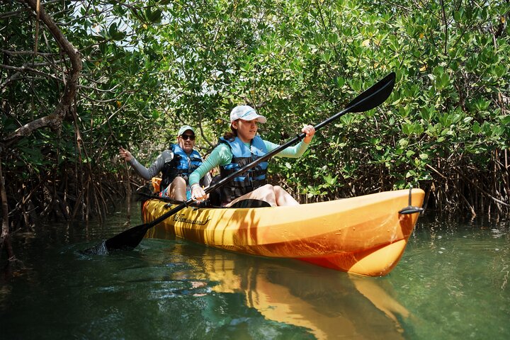 Key West Sandbar Charter met kajaktour: inclusief lunch en drankjes