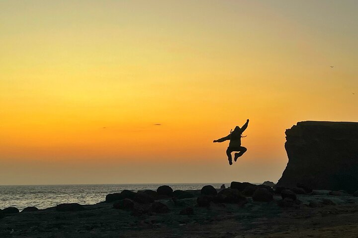 Circuit dans la réserve nationale de Paracas - Halte panoramique à votre rythme
