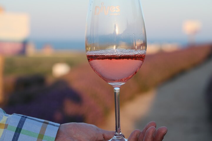 Tour Especial de História e Vinhos, incluindo Degustação de Vinhos