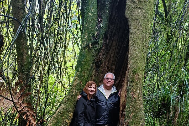 Tour por el set de rodaje de Hobbiton y muchos más lugares de interés de Nueva Zelanda