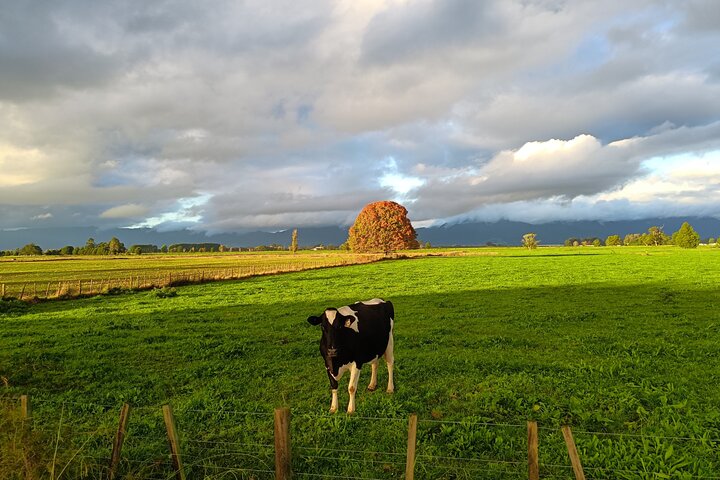 Tour por el set de rodaje de Hobbiton y muchos más lugares de interés de Nueva Zelanda