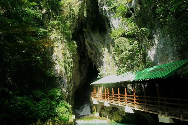 Von Fukuoka : Yamaguchi Highlights und Karato Markt Private Tour