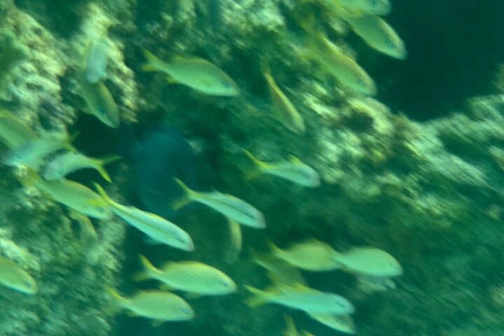 Aventura de snorkel en scooter marino en las Bahamas