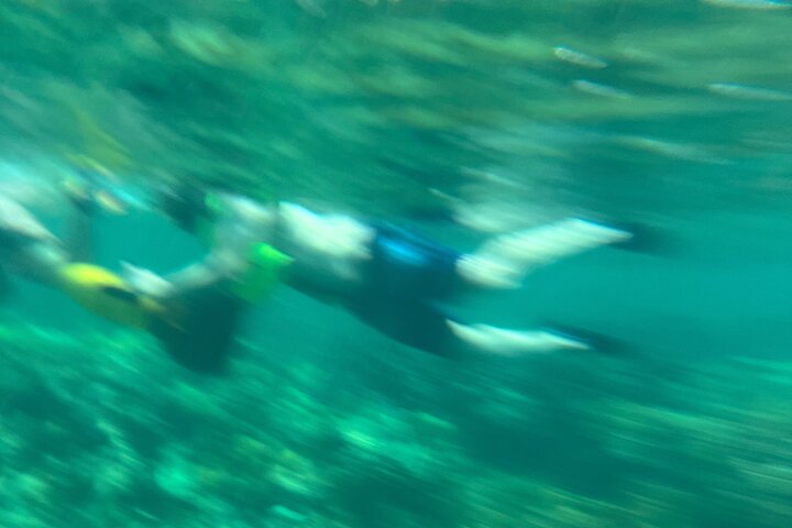 Aventura de snorkel en scooter marino en las Bahamas