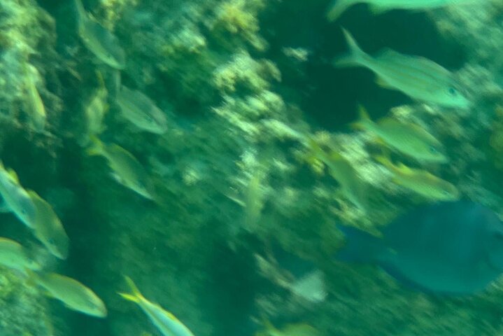 Aventura de snorkel en scooter marino en las Bahamas