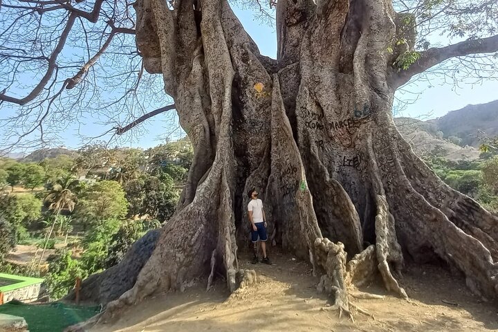 Santiago Island-opplevelse – kultur, natur og Tarrafal-stranden