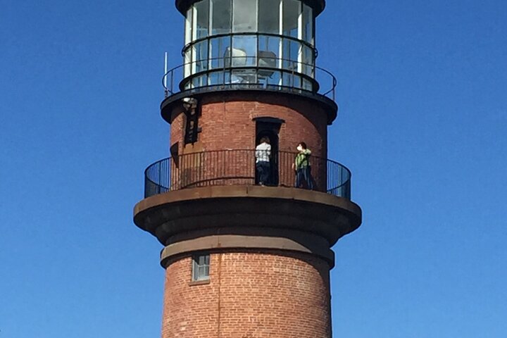 Tour de 3 horas por lo mejor de Martha's Vineyard por toda la isla